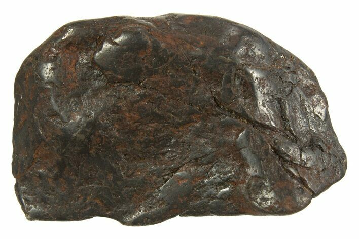 Canyon Diablo Iron Meteorite ( g) - Arizona #335932